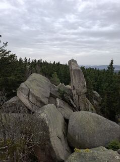 Foto van Wollomator langs de tour
