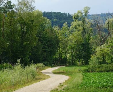 aue-chly-rhy-wanderweg