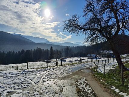 Foto von Rudi entlang der Tour