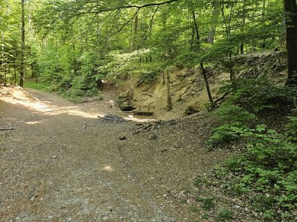 Foto von Jürgen Peters 1 entlang der Tour