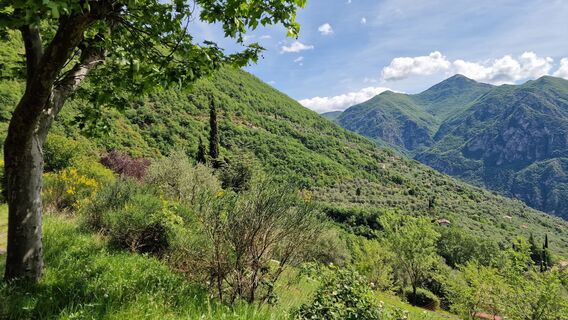 Photo de Fabrizi Mellano le long du parcours
