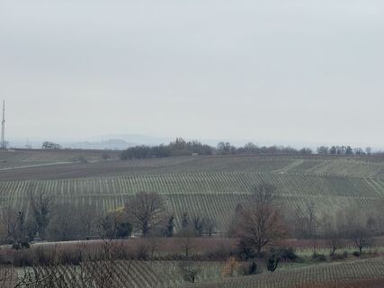 Fotografia z InesW na trase