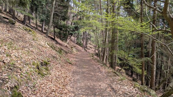 Foto von Edero entlang der Tour