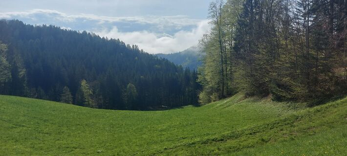 Fotografija s spletne strani Klaus Gruber 3 na poti