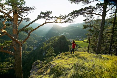 Ausblick von Breitenstein