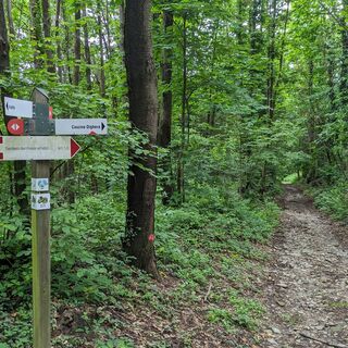 Beschilderung entlang des Weges