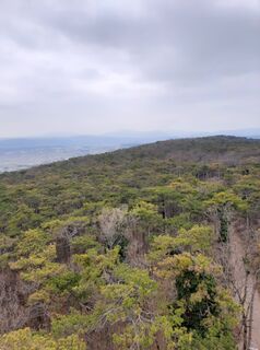 Foto de Willehad a lo largo del recorrido