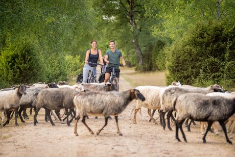 Fahrradfahren im Tiefental bei Hermannsburg