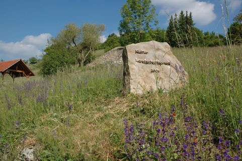 Naturschutzgebiet Essigberg/Hörnle | Roigheim | HeilbronnerLand