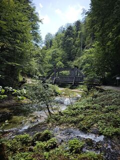 Foto von Viktoria Ellinger entlang der Tour