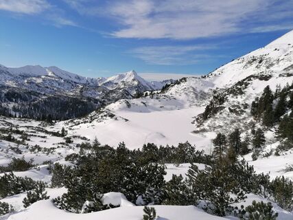 Winterlandschaft mit Blick auf den verschneiten Plannersee
