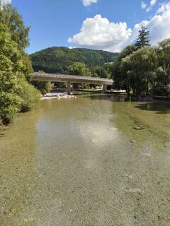 Foto von Michaels bergfex entlang der Tour