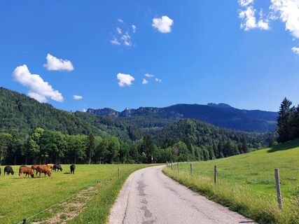 Fotografija s spletne strani Tanja Trager na poti
