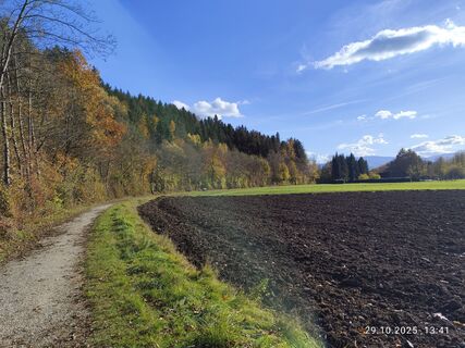 Fotó a Barbara Galle honlapról a túra során