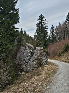 Foto de Pauline Lissek a lo largo del recorrido