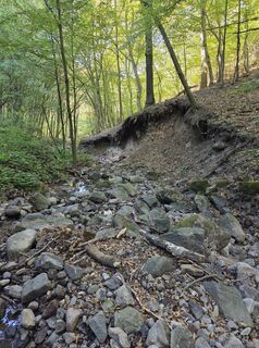 Fotografia z János Zsolt Mahr na trase