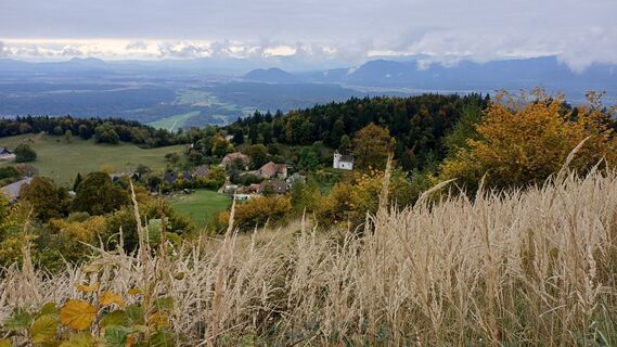 Fotografija s spletne strani Nataša Pogorevc na poti