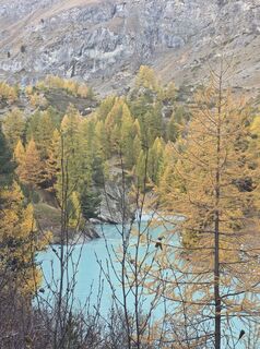 Photo de Helen le long du parcours