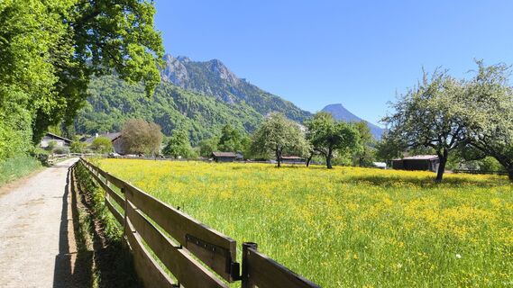 Photo de Adi Lechner le long du parcours