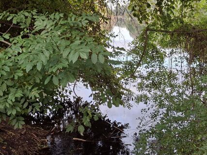 Fotografia z Heinz 68 na trase