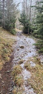 Photo de Nora le long du parcours