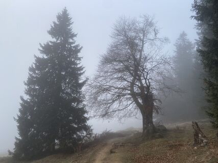 Photo de W.Walter Woerndl le long du parcours