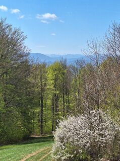 Fotografija s spletne strani Mimi na poti