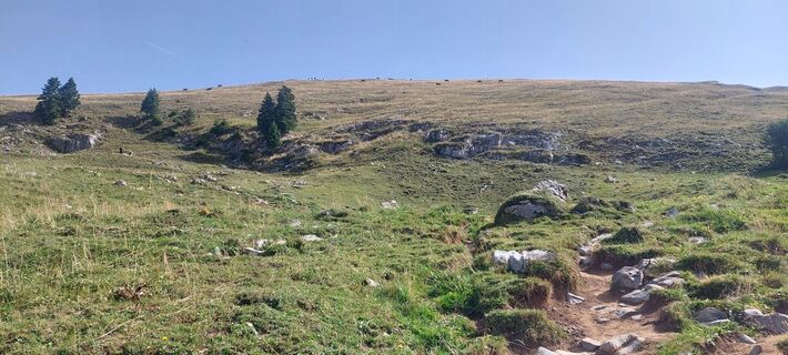 Fotografija s spletne strani Anton Gresser na poti