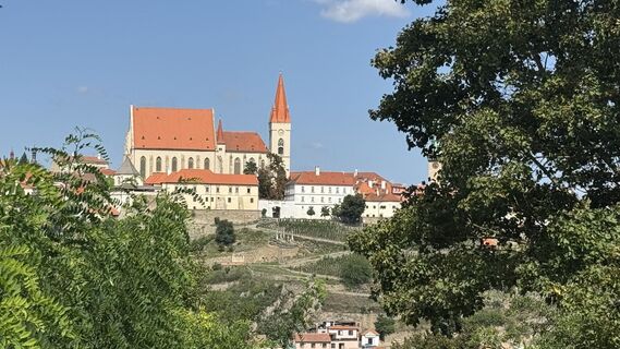 Fotografia z Erich Koutni na trase