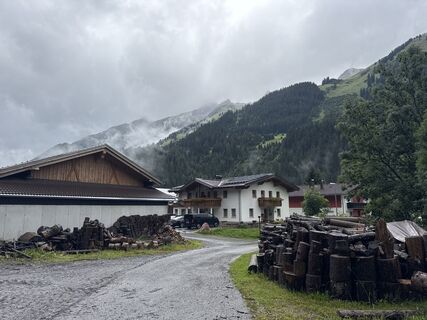 Foto von Grizzli entlang der Tour