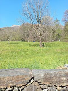 Fotografija s spletne strani Paolo Paganini na poti
