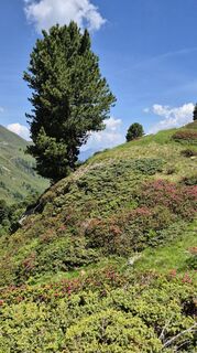Foto de Cilli Waldhof a lo largo del recorrido