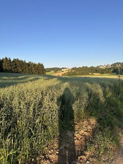 Fotografija s spletne strani Monika Diem na poti