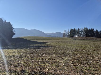 Foto von Marcus Langzauner 2 entlang der Tour