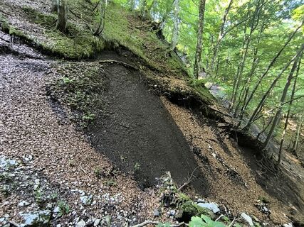 Foto von Latschngeist Michl entlang der Tour