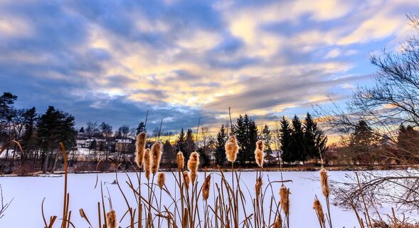 Teichpark Lannach bei Sonnenuntergang