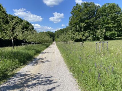 Fotografie de la W.Walter Woerndl de-a lungul turului