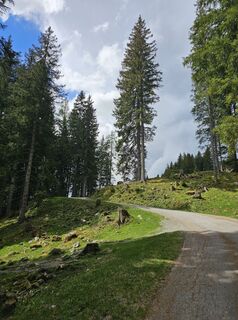 Foto von Florian entlang der Tour
