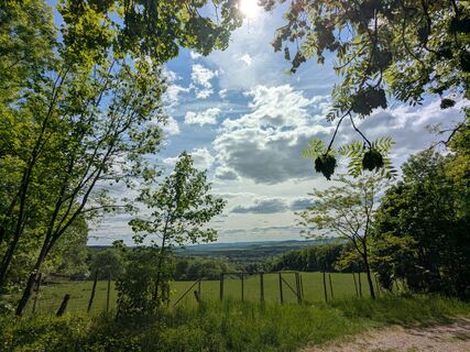 1Ausblick_Wildgehege Borntalwiesen 
