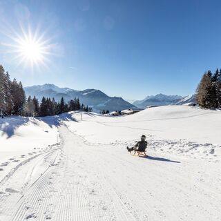 Rodelbahn Panoramaweg Reither Kogel
