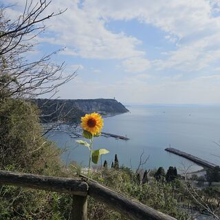 Foto von veronic26 entlang der Tour