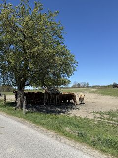 Fotografia z Marunka Kostalova na trase