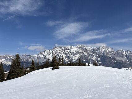 Fotografia z Heinz Sperl na trase
