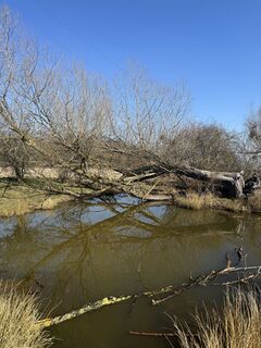 Foto von Vanessa Wagner 3 entlang der Tour