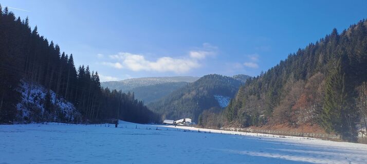Fotografija s spletne strani Johann Speik na poti