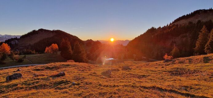 Fotografia z Bernie Haberl na trase