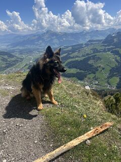 Foto von Robert de proost entlang der Tour