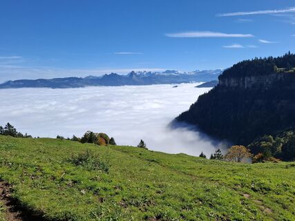 Zdjęcie z Maurer Silvia wzdłuż trasy