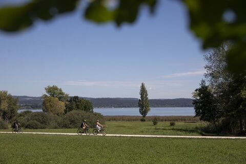 Radler auf dem Bodenseeradweg bei Horn