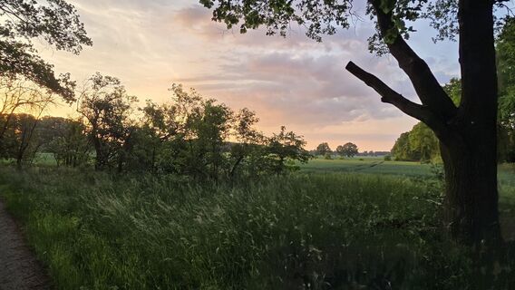 Foto von Katja Senkel entlang der Tour